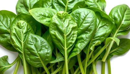 Fototapeta premium fresh, vibrant spinach leaves, demonstrating healthy eating and a natural lifestyle