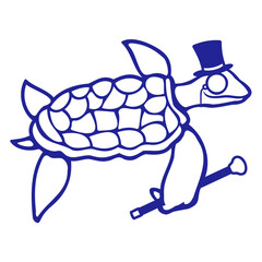 Water turtle surfboard surfer fun surfing hobby