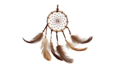 Handcrafted Dreamcatcher with Brown and Beige Feathers
