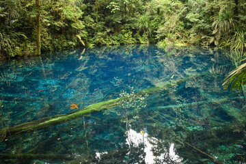 View of a clear blue freshwater lake with green trees around it