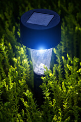 Small garden LED light among decorative grass on the lawn.