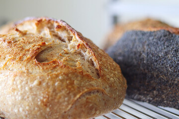 Appetizing crispy crust of freshly baked craft bread close-up in a bakery