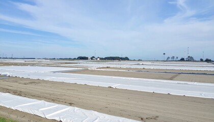 Wide Expanse of Ground Covered with White Fabric Sheets