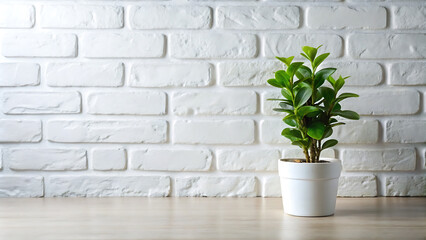 White Brick Wall With a Single Green Potted Plant in a Room
