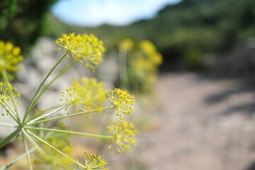 Sardinia, diverse island with landscapes, beaches and art in the Mediterranean

