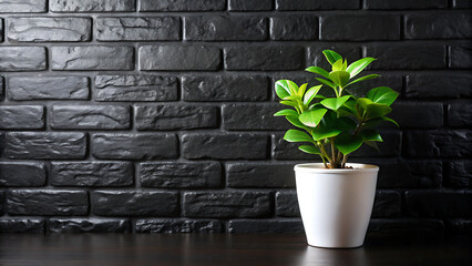 Black Brick Wall With a Single Green Potted Plant in a Room