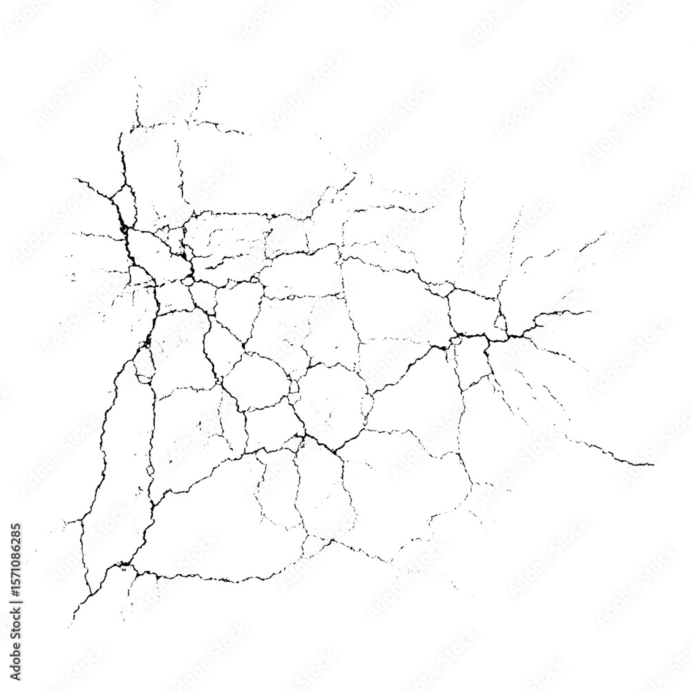 Poster vector overlay abstract texture. natural complex crack element on white background. organic grunge o