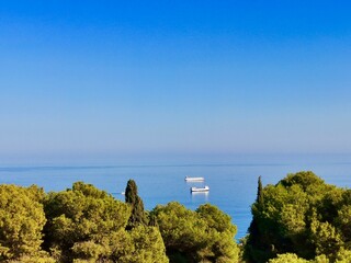 Scenic panoramic view of the Mediterranean Sea with lush green pine trees in Malaga, Spain....