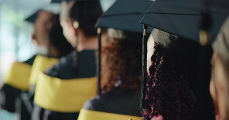 Woman, students and applause at graduation event for education, achievement and announcement. Back, people and clapping hands in row for award ceremony, academic success and congratulations at campus