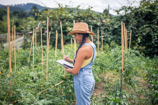 Latin farmer woman taking notes on crops in her orchard using digital tablet - Powered by Adobe