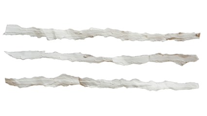 Ripped paper edge texture
