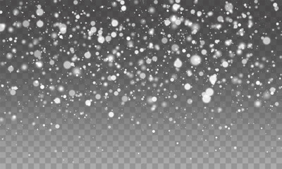 Snow snowfall snowflakes winter overlay transparent falling background PNG