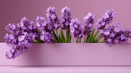 Beautiful Lavender Flowers in a Pink Decorative Planter Arrangement