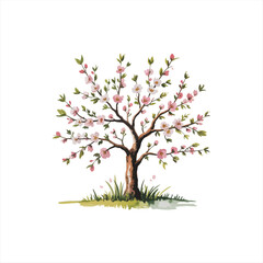 Fototapeta premium Various tree vectors. Forest and nature concept. Collection of different tree symbols. Education and training poster design. Vector drawn for plant and tree presentation.