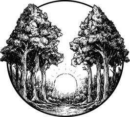 Black and white illustration of a forest path with sun setting and tall trees