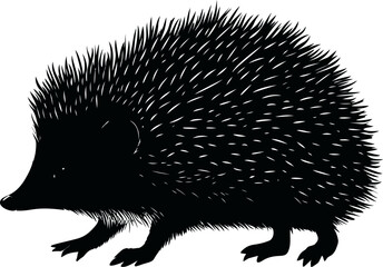 Silhouette of a hedgehog with sharp spines in black and white illustration