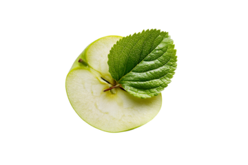 top-down view of pristine green apple slice, vibrant leaf attached, crisp white backdrop, minimalist food photography