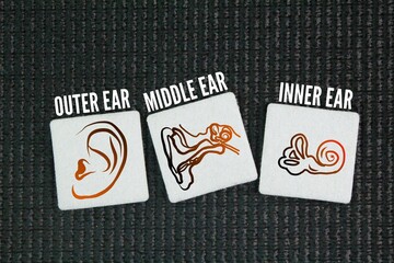 The three-part hearing system refers to the outer ear, middle ear, and inner ear. These sections...