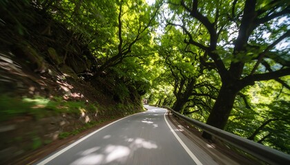 Obraz premium Driving Through Lush Forest Road with Sunlight and Green Trees