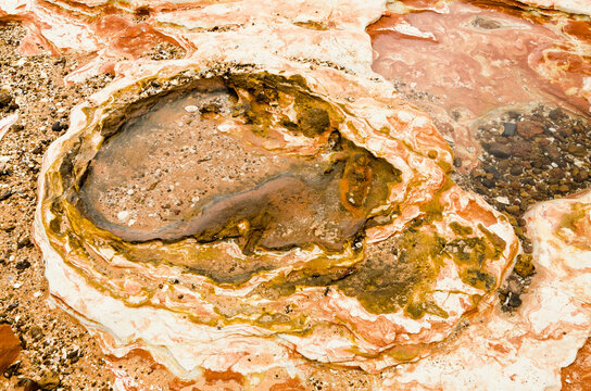 Close up shot of dinosaur footprints in orange and pink rock