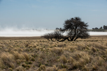 Strong wind blowing in a salt flat in La Pampa province, Patagonia, Argentina.