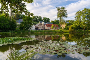 Tranquil lake covered with water lilies near small traditional village in Germany. Peaceful rural...