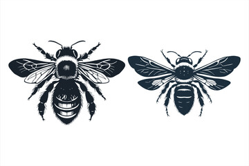 Detailed monochrome illustrations of bees in flight, isolated on white background, capture the intricate beauty of these essential pollinators in a vintage style