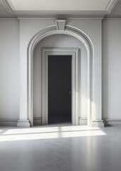 Fototapeta premium Doorway in empty room Empty room interior design architecture blank design room