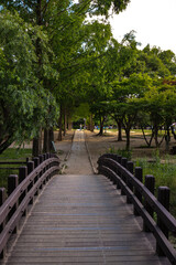 Summer Seoul forest in Seoul, South Korea