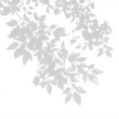 shadow overlay effect. Gray shadow of leaves isolated on white background. Plant foliage leaf shadow light effect. Mockup Blurred tree branch shadow. Ideal for summer spring design elements PNG