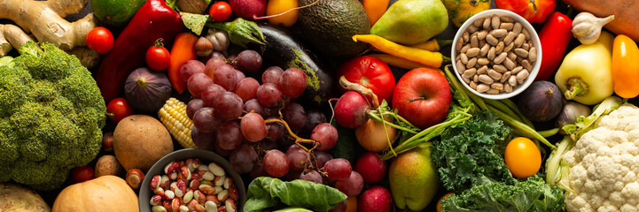 Organic seasonal vegetables from an autumn farm harvest, including fresh, ripe veggies grown naturally and handpicked for quality, organic local seasonal vegetables, banner