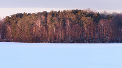 Dark line of forest on the shore in Soft Pastel Light of the Setting Sun