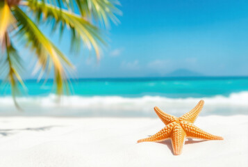 Starfish resting on pristine white sand beach with turquoise water and palm trees