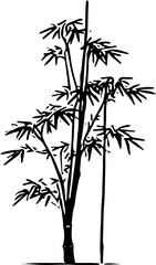 bamboo vector illustration