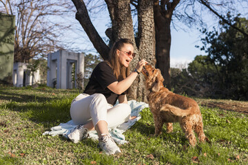 Cocker spaniel enjoys loving moment with woman owner in outdoor park setting during daytime
