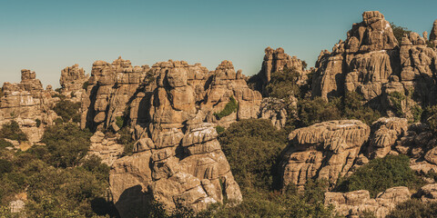 Limestone rock formations like pillars between green vegetation under a blue sky. National park El...