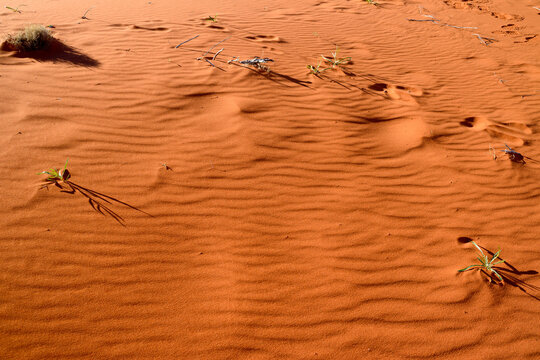 Closeup shot of deep orange desert sands with ripples