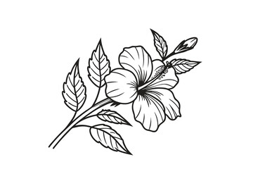Elegant black and white line art drawing of a blooming hibiscus flower with leaves and stem