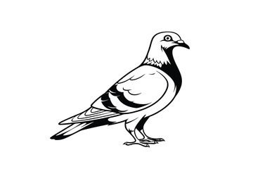 Fototapeta premium Stylized illustration of a pigeon with detailed feathers and a bold outline isolated on white background.