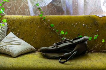 Dusty green couch with a pillow and abandoned shoes, overgrown with ivy – symbol of an abandoned...