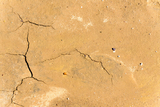 Detail shot of cracked yellow mud