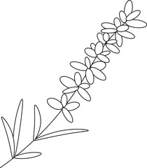 Lavender isolated. Vector graphic line illustration. Silhouette sign for logo, print, comics, fashion, pop art, boards, design, stickers, decoration, posters Coloring Sheet for Stress Relief © Ekaterina