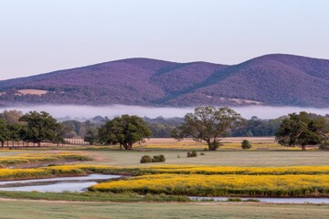 Naklejka premium Misty morning landscape, with a meandering waterway and vibrant yellow wildflowers, leading to a purple mountain range