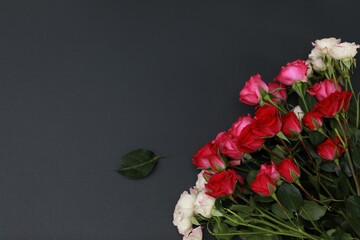 Roses on a black background, top view, free space, greetings, flowers, bouquet