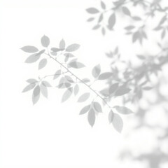 shadow overlay effect. Gray shadow of leaves isolated on white background. Plant foliage leaf shadow light effect. Mockup Blurred tree branch shadow. Ideal for summer spring design elements PNG