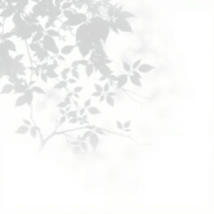 Fototapeta premium shadow overlay effect. Gray shadow of leaves isolated on white background. Plant foliage leaf shadow light effect. Mockup Blurred tree branch shadow. Ideal for summer spring design elements PNG