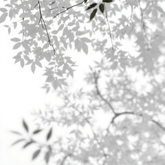 shadow overlay effect. Gray shadow of leaves isolated on white background. Plant foliage leaf shadow light effect. Mockup Blurred tree branch shadow. Ideal for summer spring design elements PNG