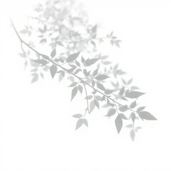 shadow overlay effect. Gray shadow of leaves isolated on white background. Plant foliage leaf shadow light effect. Mockup Blurred tree branch shadow. Ideal for summer spring design elements PNG