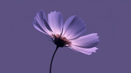 Minimalistic stylish still life with flower arrangement