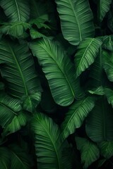 Tropical leaves pattern